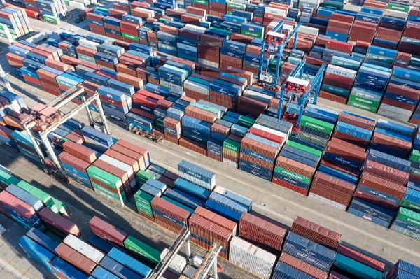 货品俄罗斯樟子松经宁波市使用轮船货代抵到