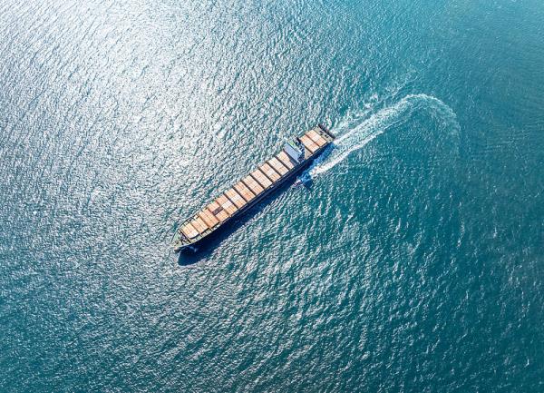 货品桥梁用木材从天津市使用海运运送至西班