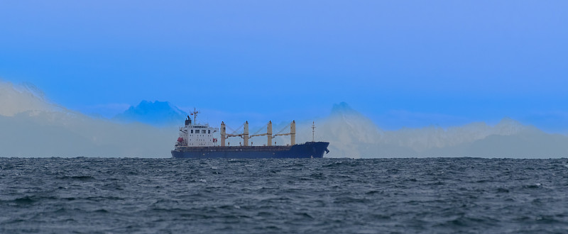 物品伸缩杆从上海市选择海运送货抵达日本