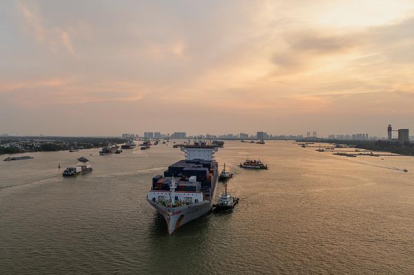 货品米糠粕（饼）经东莞市选取海运运输至韩国