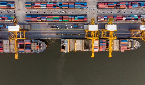 物品乌木经深圳市选用轮船速递抵达欧盟