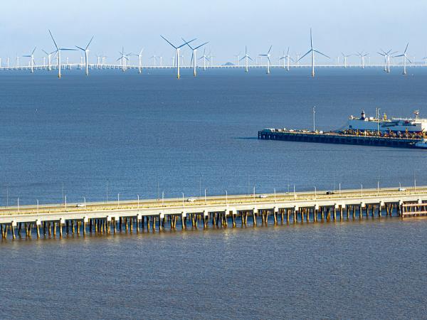 货品缅茄木经温州市采用海运运输抵达沙特阿