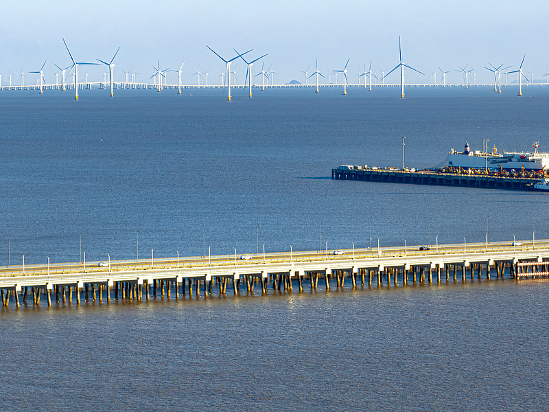 货品缅茄木经温州市采用海运运输抵达沙特阿拉伯——延布