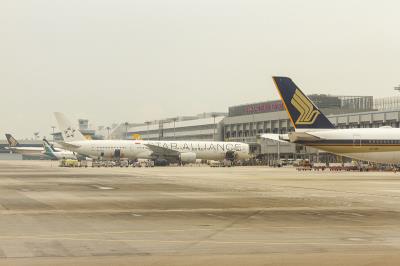 深圳至新加坡的智能手机采用飞机运输13天内送到