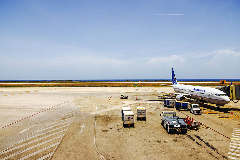 羽毛使用深圳整箱海运快送到新加坡