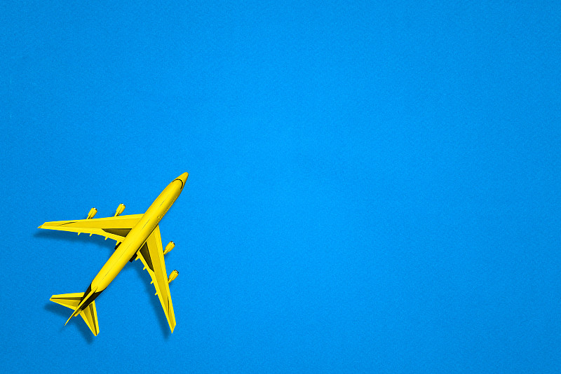 上海到新加坡的水生无脊椎动物使用空运物流专线4天内速递到