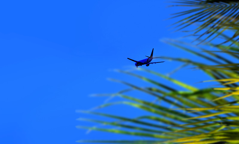 假睫毛胶水利用中国深圳空运快递送到新加坡