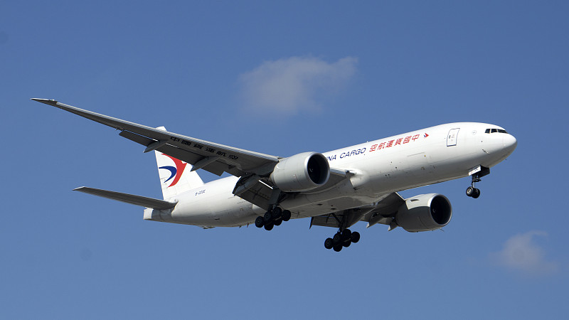 兰花苗运用中国成都空运专线配送到新加坡