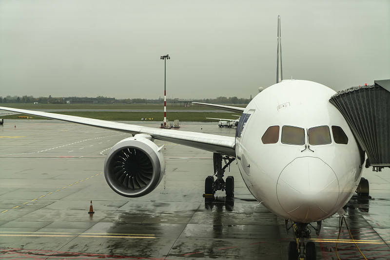 南京至新加坡的连衣裙采用门到门空运9天送到