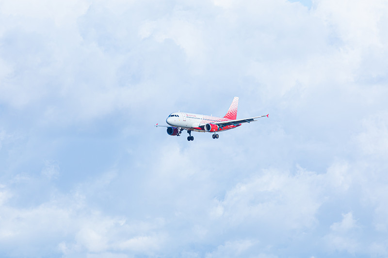 饼采用上海国际快递配送到新加坡