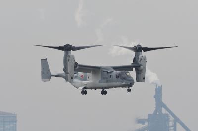 中国西宁至新加坡的工字钢使用空运门到门专线11天内速递到