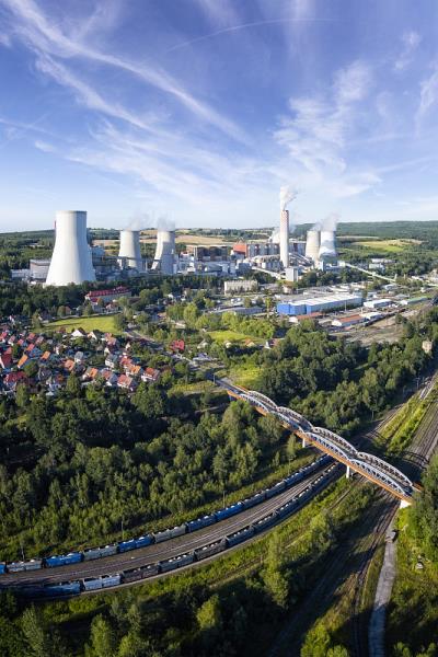 橄榄粕应用中国天津门到门海运送达新加坡