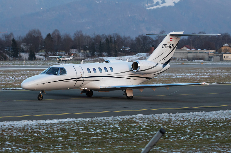 多肉植物运用中国上海普货空运送到新加坡