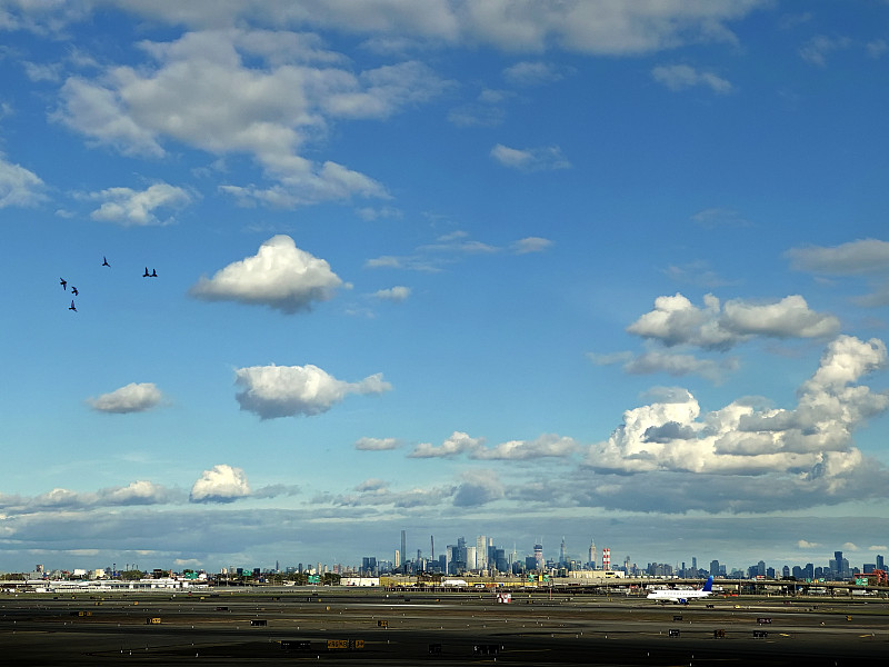 长沙茉莉花茶采用加急空运14天配送到新加坡