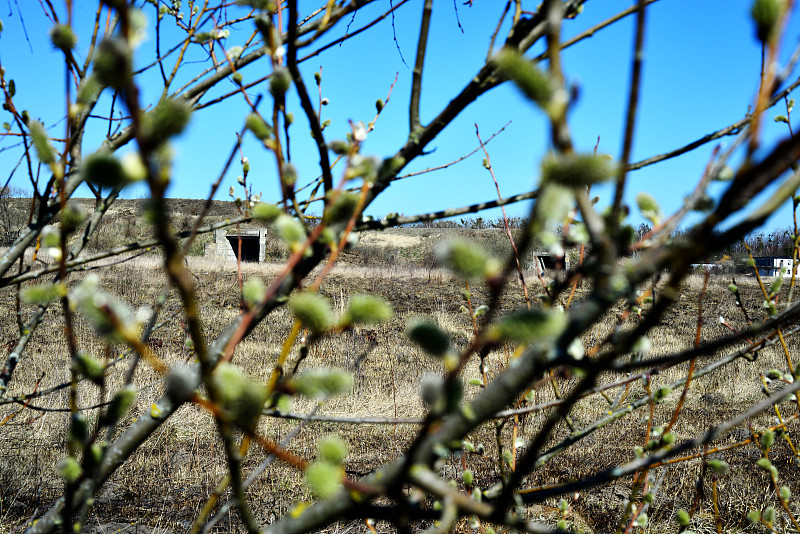 热轧圆钢经中国天津经济空运送到新加坡