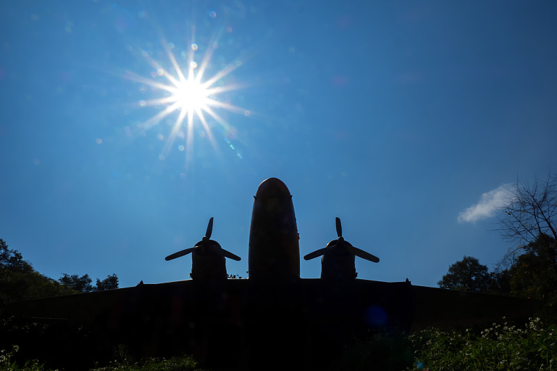 智能手机采纳中国深圳海洋运输运抵新加坡