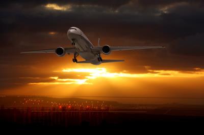 狗零食经中国南京优先空运送到新加坡