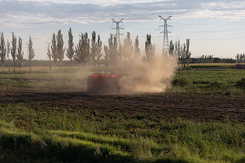 仿首饰采取广州空海联运快速送达新加坡