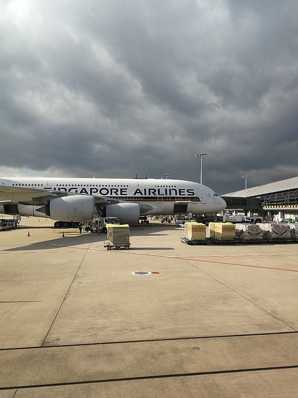 福来恩驱虫药选用西宁海空联运配送到新加坡