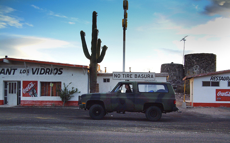 木屑利用中国上海海运派送至新加坡