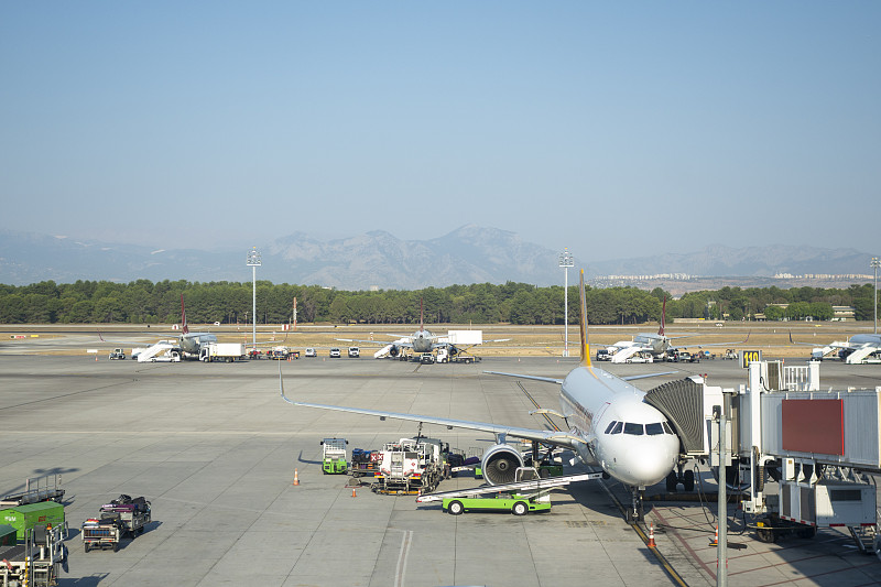 东莞肉类使用空运快递14天内速递到新加坡