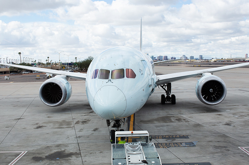 原木借用中国天津散货船运输派送到新加坡