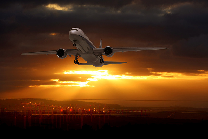 狗零食经中国南京优先空运送到新加坡