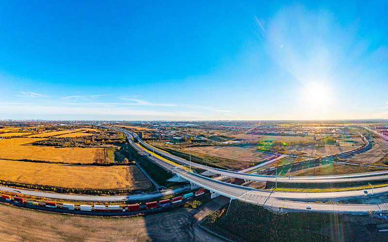 合肥花梨木使用飞机运输13天内送到新加坡