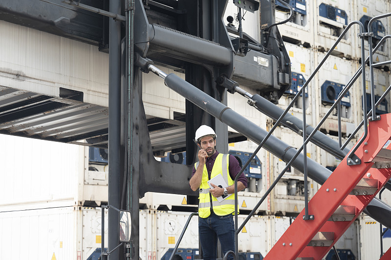 植物茎应用深圳港到港海运送到新加坡