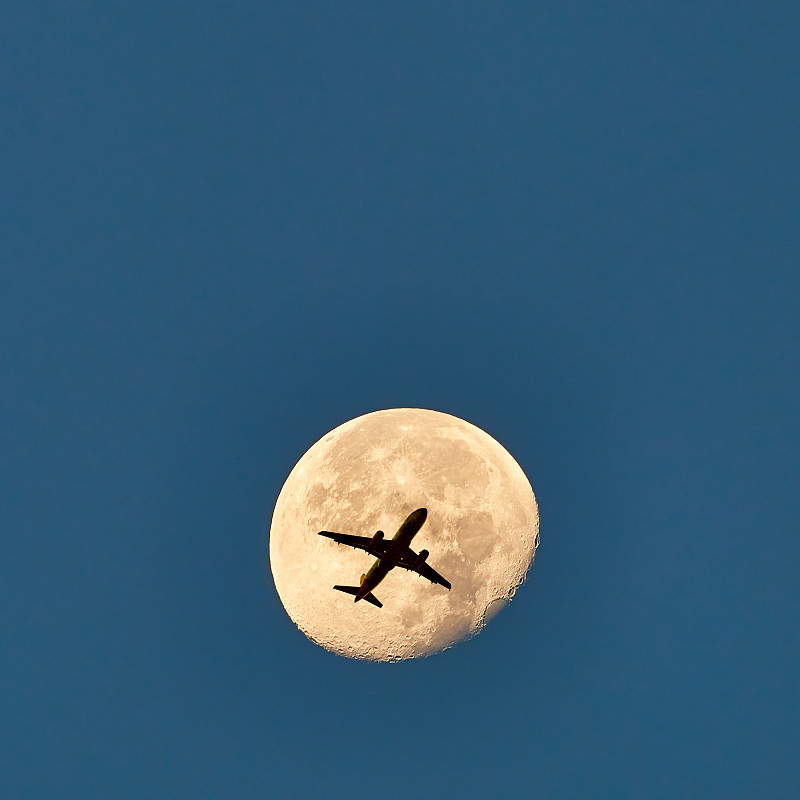 中国厦门至新加坡的工程机械采用加急空运7天内速递到