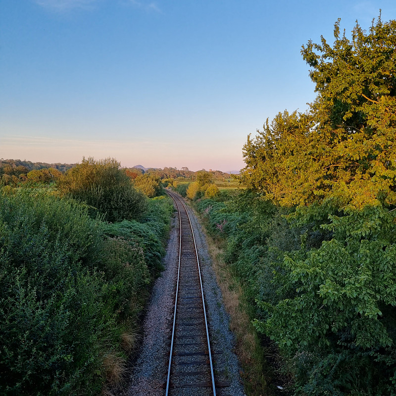 插花借助上海国际海运发往新加坡 插花借助上海国际海运发往新加坡