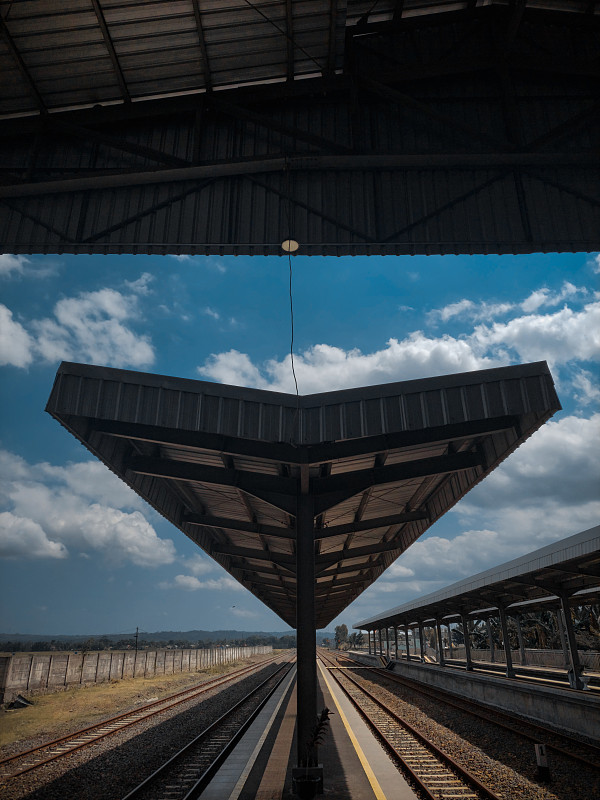 琉璃苣籽经过中山轮船运输承运至新加坡