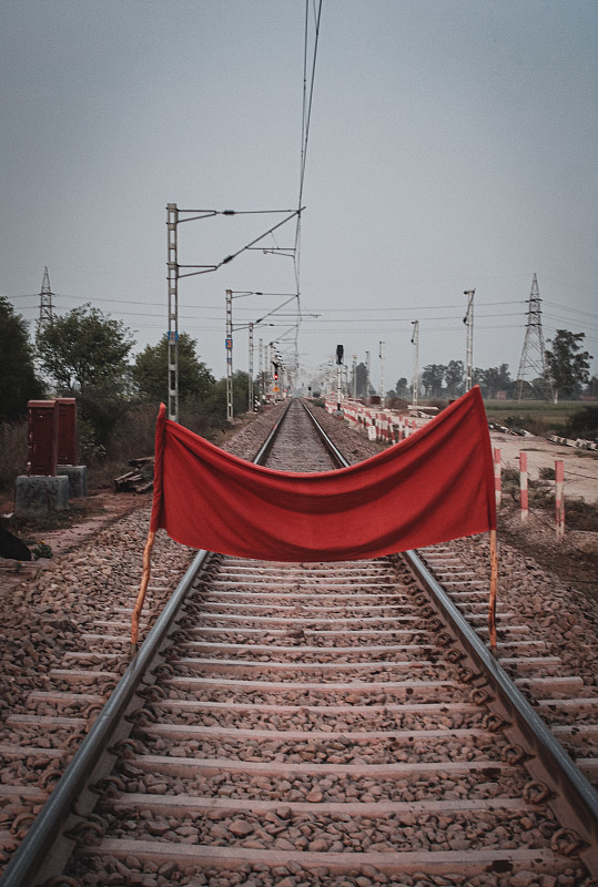 菜籽粕中国大连国际多式联运配送至新加坡