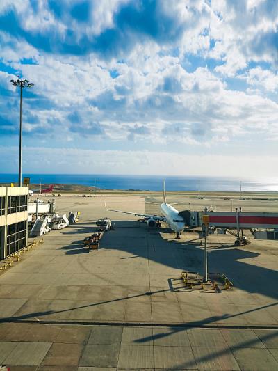 中国昆明到新加坡的藤椅使用优先空运14天内速递到