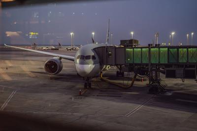 中国鄂州到新加坡的折叠床使用优先空运10天内送达