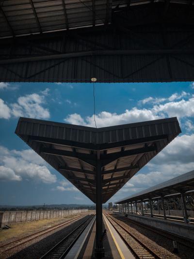 琉璃苣籽经过中山轮船运输承运至新加坡