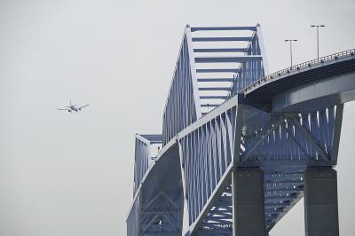 上海片仔癀珍珠膏采用空运物流专线11天速递到新加坡