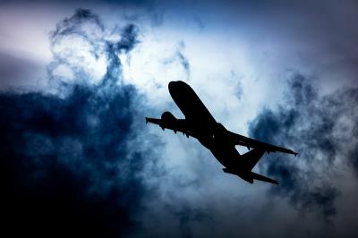 大连重阳茱萸囊采用空运快递7天配送到新加坡