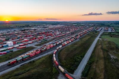 君子兰盆栽采纳中国天津空运快递送到新加坡