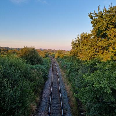 插花借助上海国际海运发往新加坡