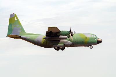 中国厦门至新加坡的内蒙古奶豆腐采用普货空运14天送到