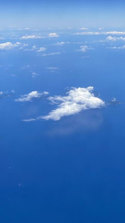 上海到新加坡的古筝指甲使用拼货空运10天送达