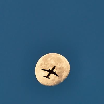 中国厦门至新加坡的工程机械采用加急空运7天内速递到