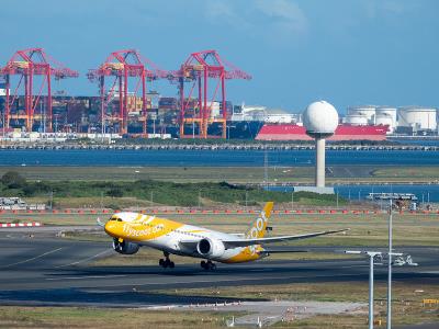 小家电经过中国深圳集装箱运输配达新加坡