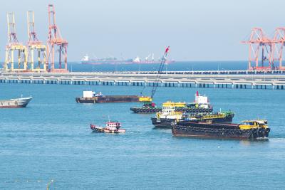 中国重庆到新加坡的棉签使用经济空运11天内送达