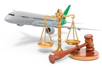 长沙疯狂小狗磨牙棒采用飞机运输9天速递到新加坡