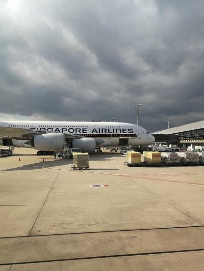 福来恩驱虫药选用西宁海空联运配送到新加坡