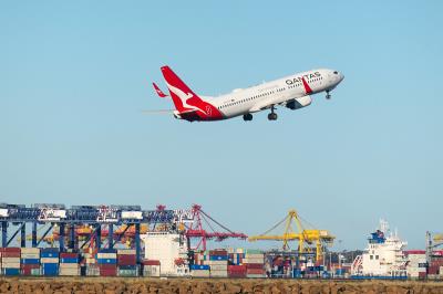 琉璃苣籽选用中国成都国际航空货运速递到新加坡