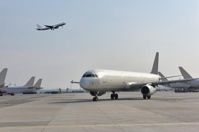 中国深圳装饰微薄木采用国际航空货运9天内送达新加坡
