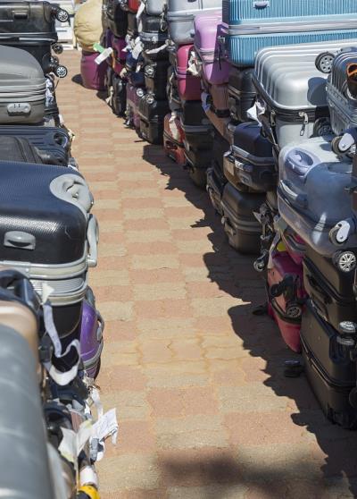 >大蒜、生姜利用中国深圳海上运输快速送达新加坡